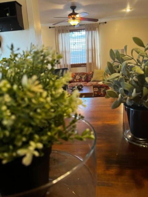 House Close To Downtown, Airport, Raymond James Stadium, And Many More Places Tampa Buitenkant foto